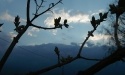 wiosna w Rokitach_10