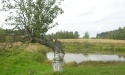 Letnie widoki_4