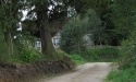 Letnie widoki_14