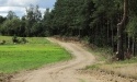 Letnie widoki_20