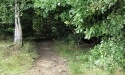 Letnie widoki_28