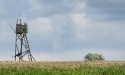 Letnie widoki_44