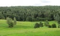 Letnie widoki_59