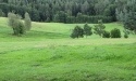 Letnie widoki_60
