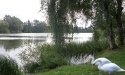 Letnie widoki_79
