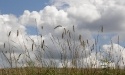 Letnie widoki_102