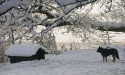 Zimowe widoki_6
