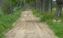 Letnie widoki_23