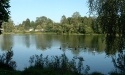 Letnie widoki_25