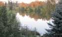 Letnie widoki_26