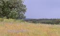 Letnie widoki_31