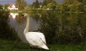 Letnie widoki_32