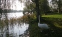Letnie widoki_33