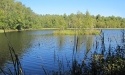 Letnie widoki_23