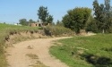 Letnie widoki_35