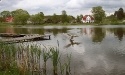 Letnie widoki_57