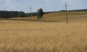 Letnie widoki_6