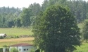 Letnie widoki_13