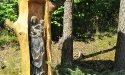 Letnie widoki_31