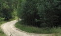 Letnie widoki_40