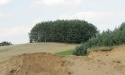 Letnie widoki_62