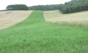 Letnie widoki_71