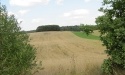 Letnie widoki_74