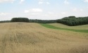 Letnie widoki_75