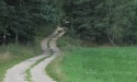 Letnie widoki_76