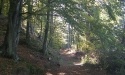 Drogą do Jasienia_28