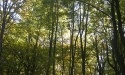 Drogą do Jasienia_31