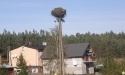 Drogą do Jasienia_51