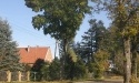 Drogą do Jasienia_61