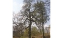 Pałac w Jasieniu_7