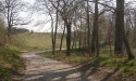 Pałac w Jasieniu_10
