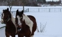 Zima 2013_8