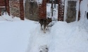 Zima 2013_14