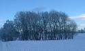 Zima w Rokitach_3