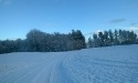 Zima w Rokitach_6