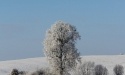 Zima w Rokitach_1