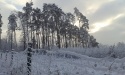 Zima w Rokitach_5