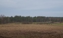 Nasze widoki_19