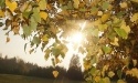 Nasza Jesień_24