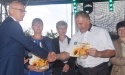 Dożynki Gminne 2015_73