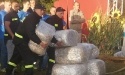 Dożynki Gminne 2015_104