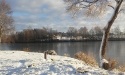 Pierwsza Zima_8
