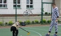 Dzień Rodziny 2017_90
