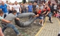 Dożynki 2017_30
