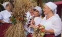 Jarmark Płodów Rolnych 2020_67