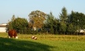 Lato 2020_4